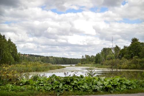 Lokintaival_Iidesjärvi.jpg